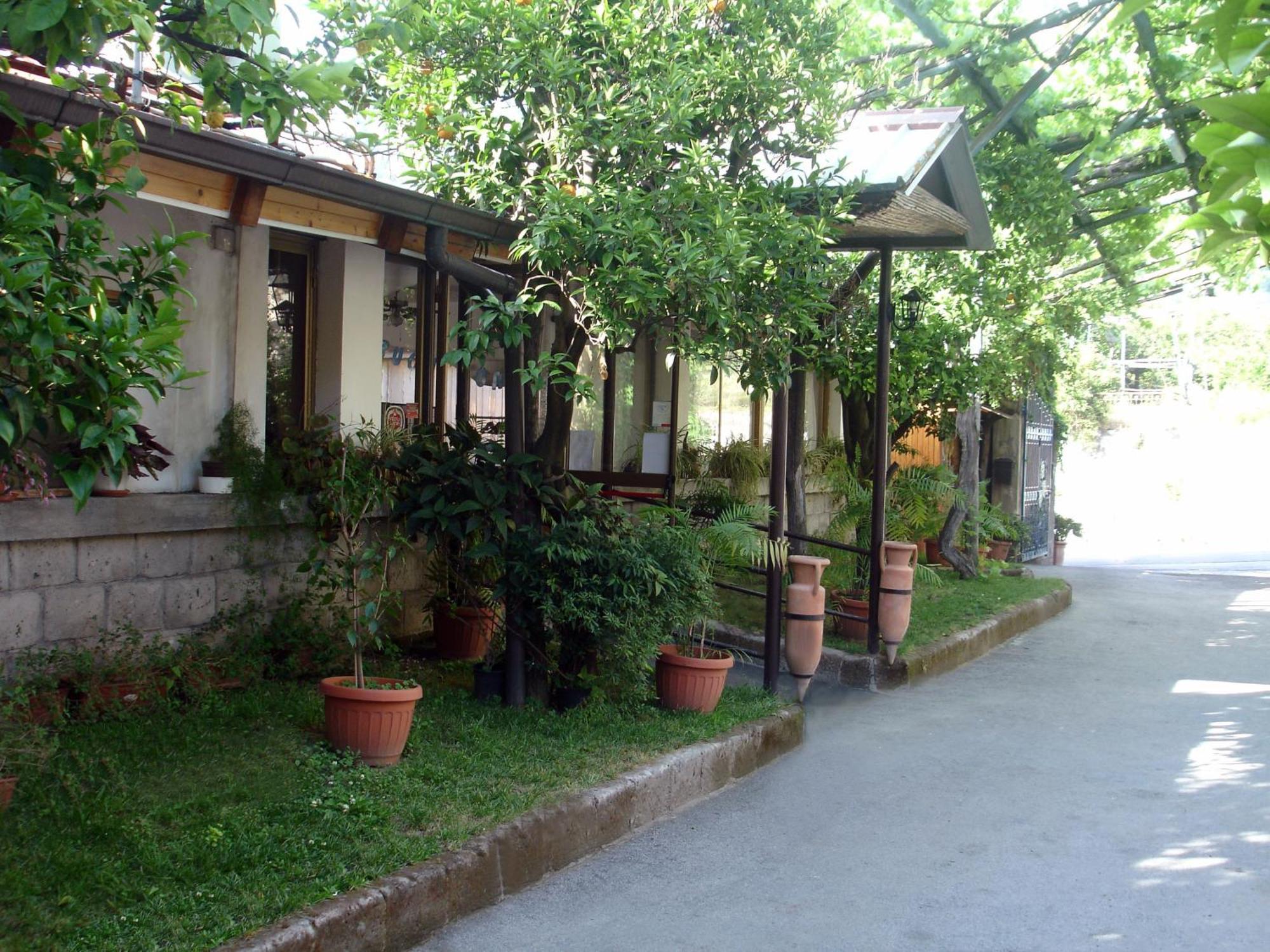 Fiori D'Arancio Hotel Пиано ди Соренто Екстериор снимка